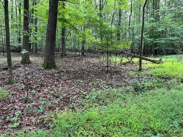 L2.2 Canniff Road, Cairo, NY, photo 2
