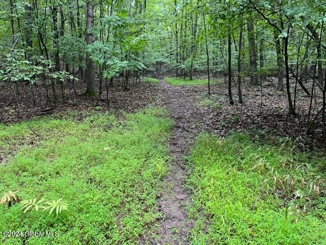 L2.2 Canniff Road, Cairo, NY, photo 1
