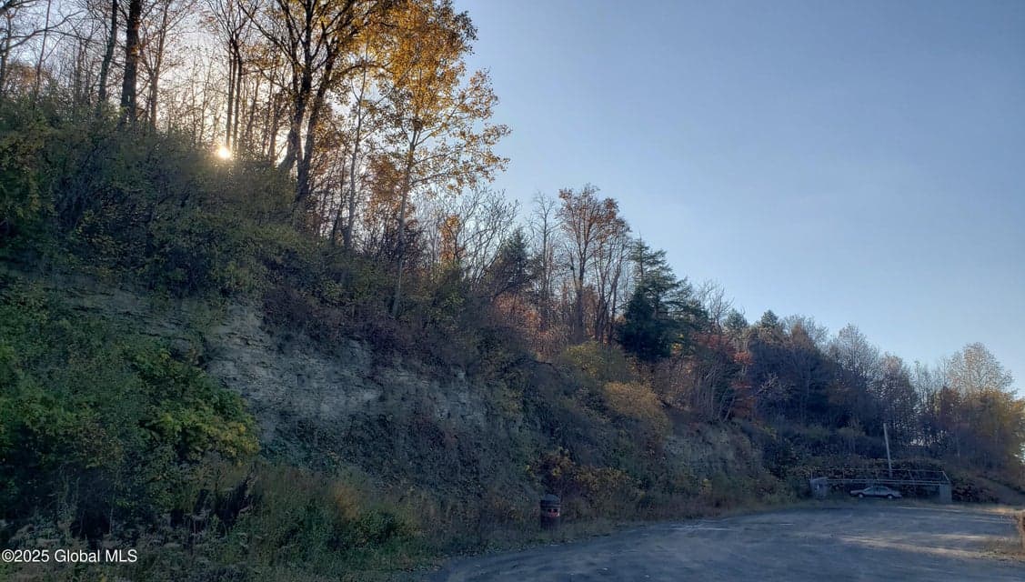 2554 State Route 7, Schoharie, NY, photo 3