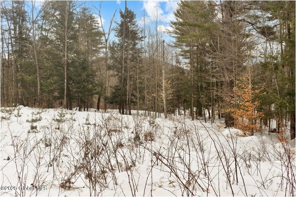 18 Highview Lane #Lot 1, Johnsburg, NY, photo 1