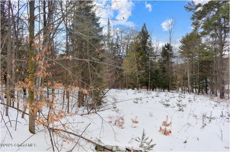 L86 Highview Lane #Lot 2, Johnsburg, NY, photo 5