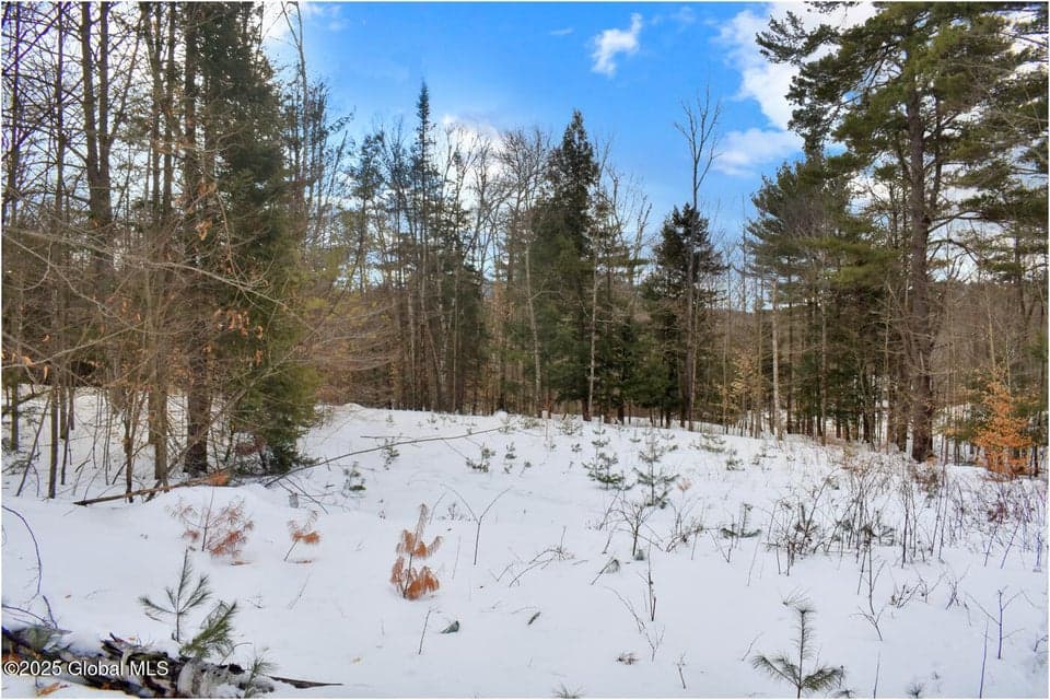 L86 Highview Lane #Lot 2, Johnsburg, NY, photo 1
