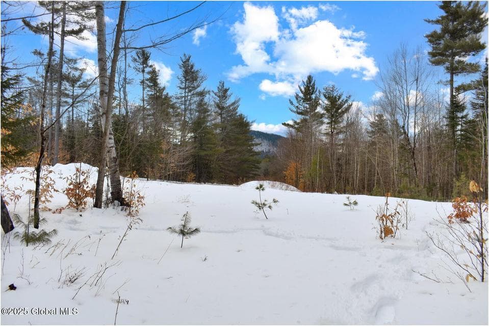 L87 Highview Lane, photo 2