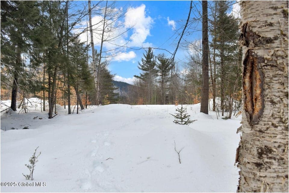 L87 Highview Lane, photo 1
