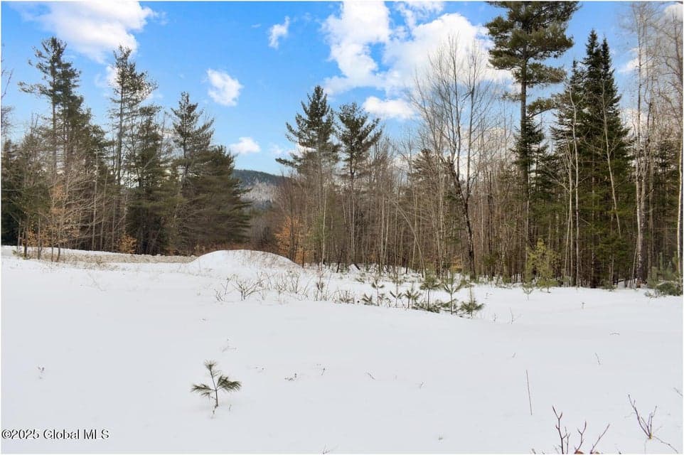 L88 Highview Lane #Lot 4, Johnsburg, NY, photo 5