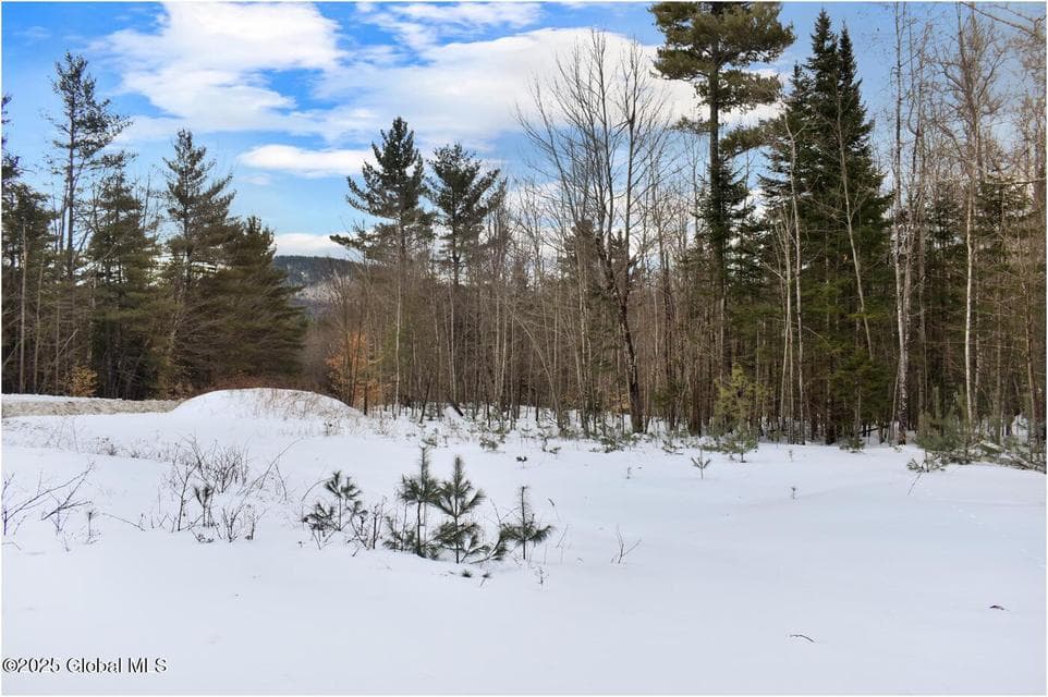 L88 Highview Lane #Lot 4, Johnsburg, NY, photo 1