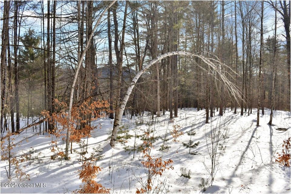 L92 Highview Lane, photo 1