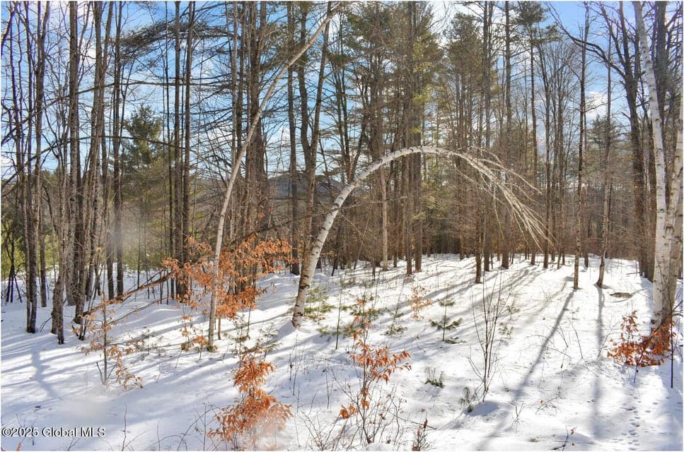 L92 Highview Lane, photo 4