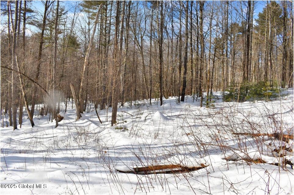 L93 Highview Lane #Lot 9, Johnsburg, NY, photo 5