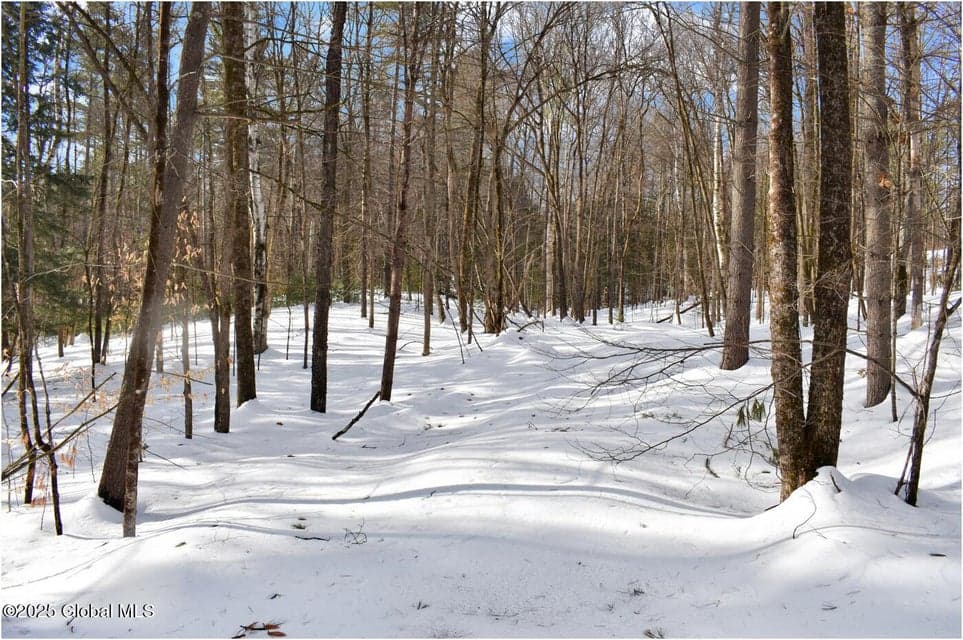 L93 Highview Lane #Lot 9, Johnsburg, NY, photo 1