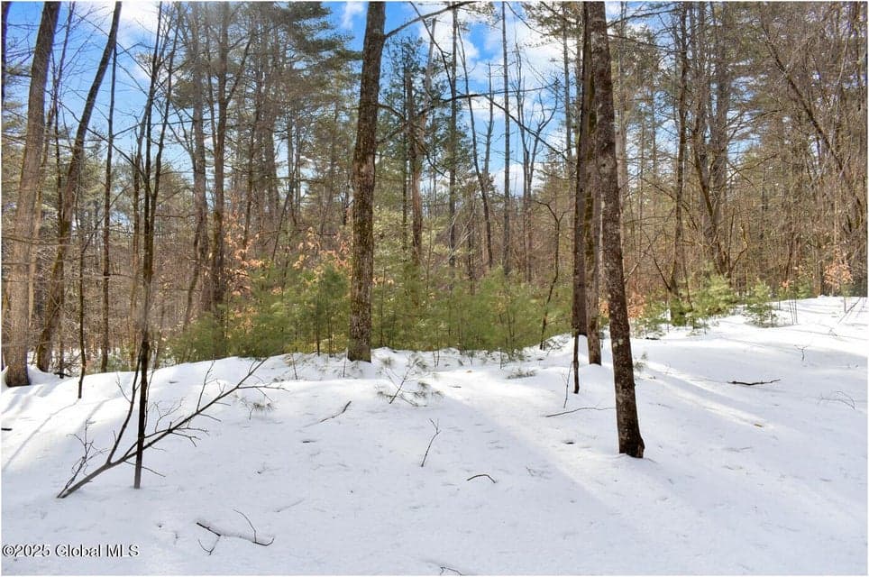 L94 Highview Lane #Lot 10, Johnsburg, NY, photo 1