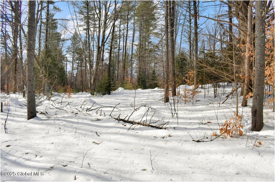 L95 Highview Lane #Lot 11, Johnsburg, NY, photo 1