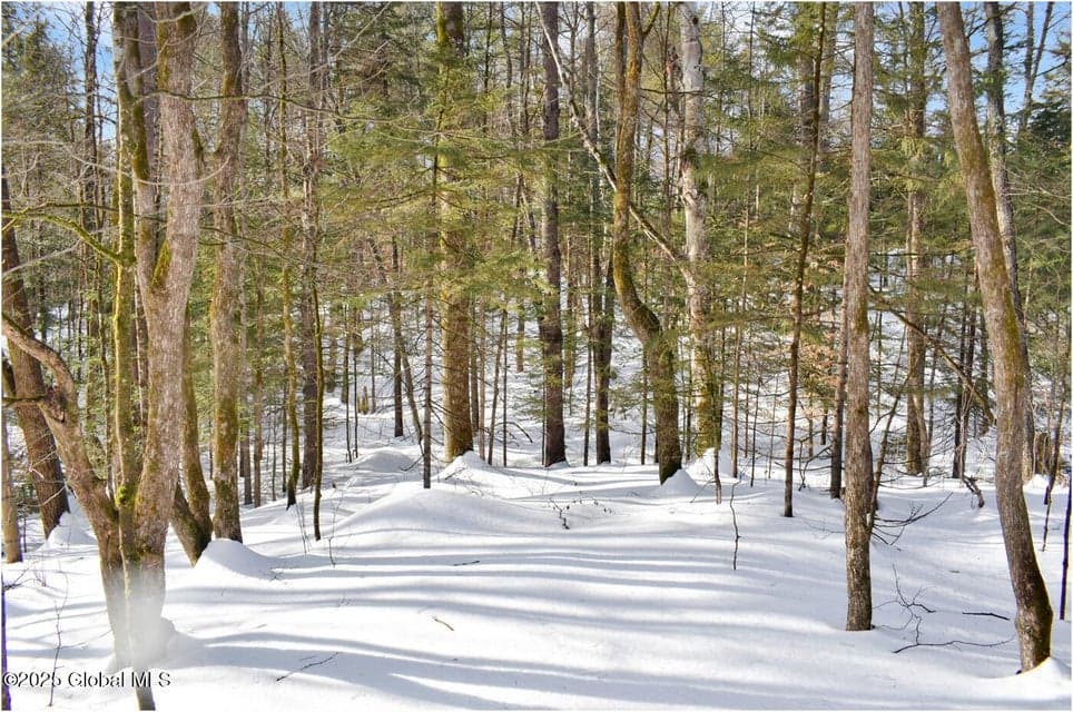 L96 Highview Lane #Lot 12, Johnsburg, NY, photo 1