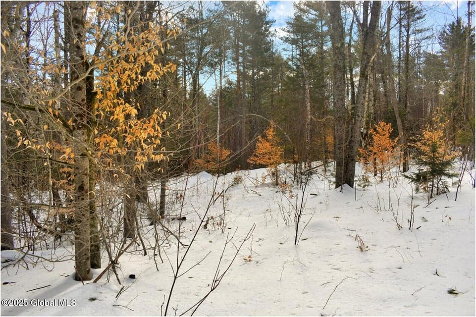 L96 Highview Lane #Lot 12, Johnsburg, NY, photo 5