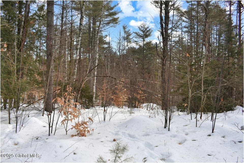 L97 Highview Lane #Lot 13, Johnsburg, NY, photo 1