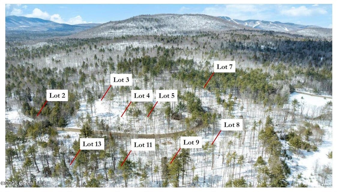 L94 Highview Lane #Lot 10, Johnsburg, NY, photo 2