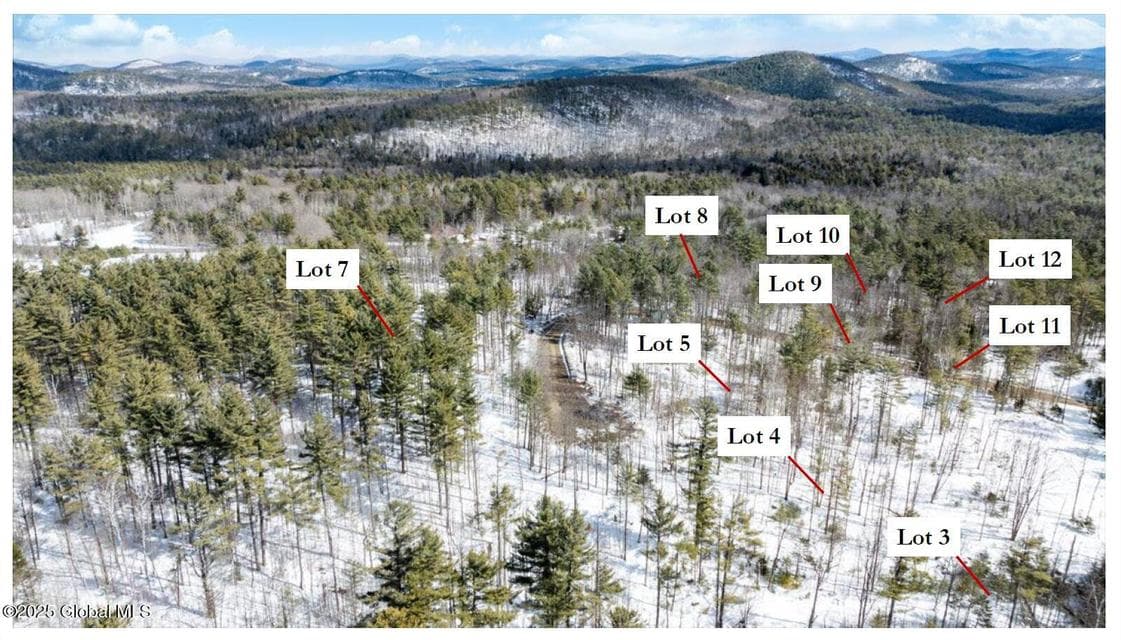 L94 Highview Lane #Lot 10, Johnsburg, NY, photo 5