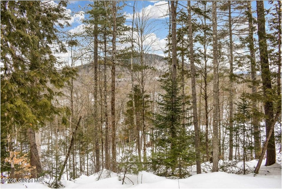 L64 Cooper Hill Road, Johnsburg, NY, photo 5