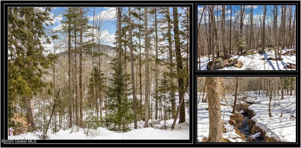 L64 Cooper Hill Road, Johnsburg, NY, photo 1