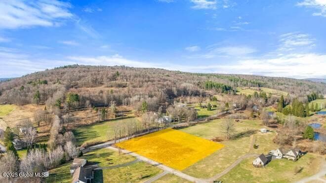 L43.3 Fairway Court, Afton, NY, photo 1
