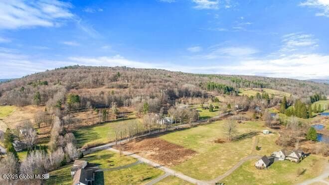 L43.3 Fairway Court, Afton, NY, photo 2