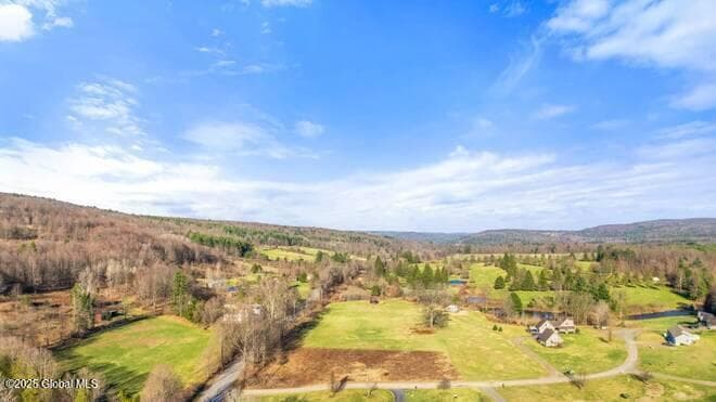 L43.3 Fairway Court, Afton, NY, photo 5