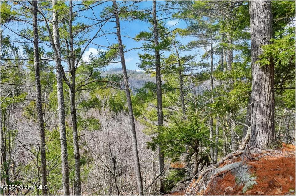 L18 Mountain Meadows Road, Horicon, NY, photo 5