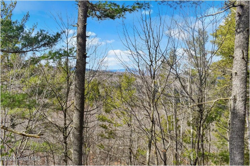 L18 Mountain Meadows Road, Horicon, NY, photo 4