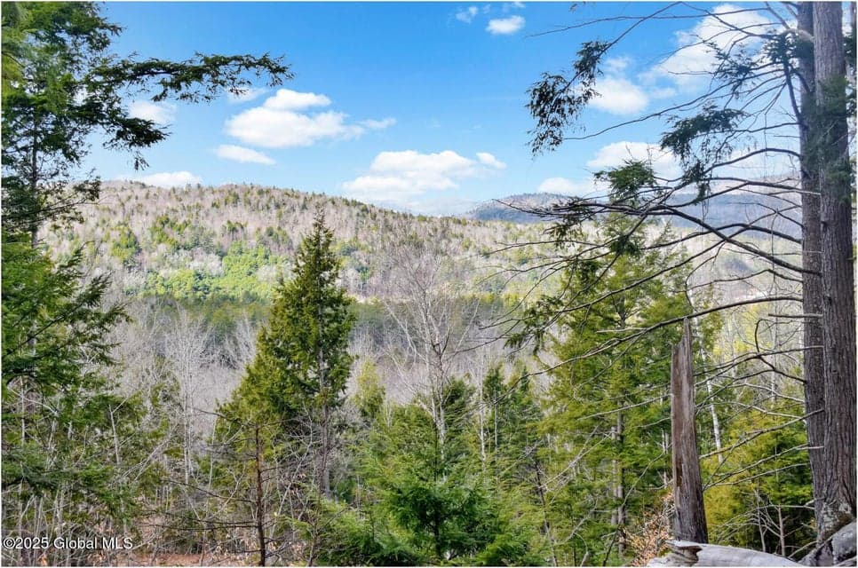 L17 Mountain Meadows Road, Horicon, NY, photo 4
