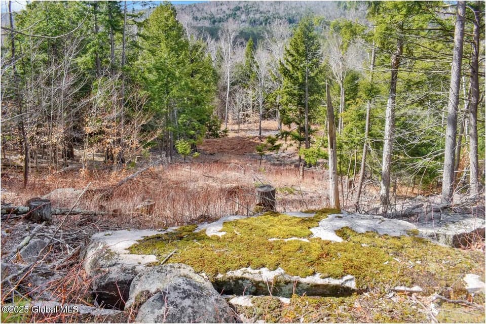 L17 Mountain Meadows Road, Horicon, NY, photo 5