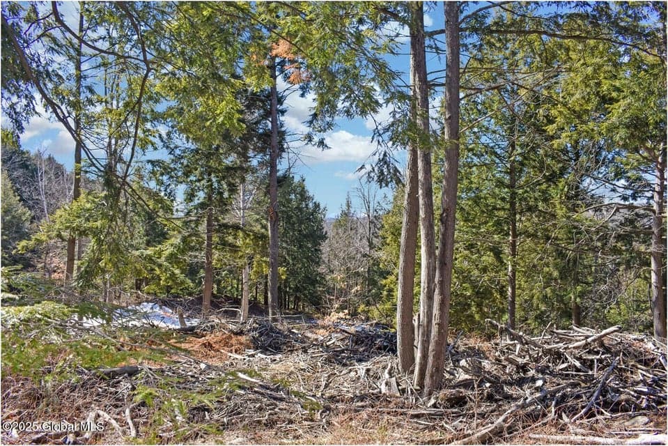 L16 Mountain Meadows Road, Horicon, NY, photo 5