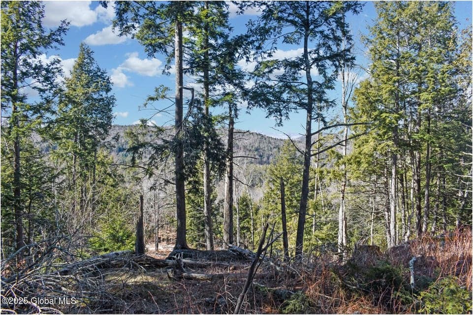 L16 Mountain Meadows Road, Horicon, NY, photo 4