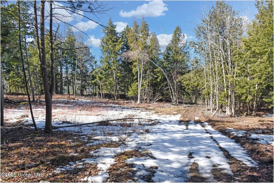 L15 Mountain Meadows Road, Horicon, NY, photo 5