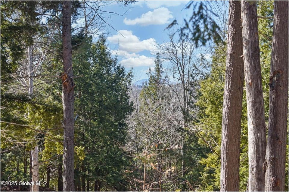 L15 Mountain Meadows Road, Horicon, NY, photo 3