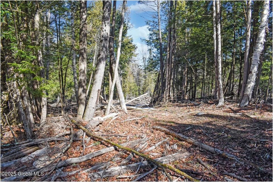 L15 Mountain Meadows Road, Horicon, NY, photo 4