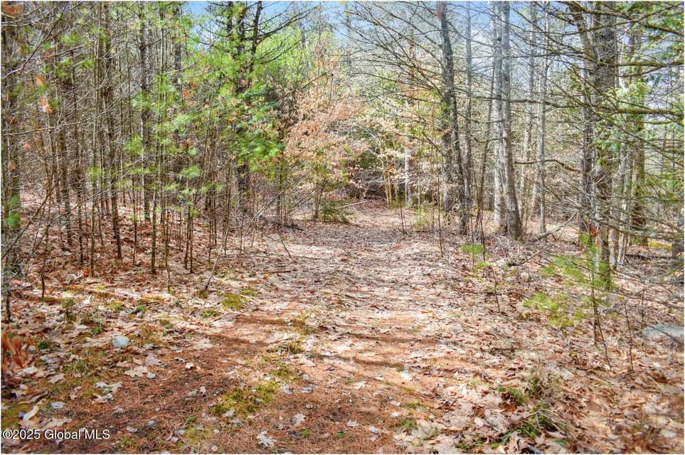 L11 Mountain Meadows Road, Horicon, NY, photo 3