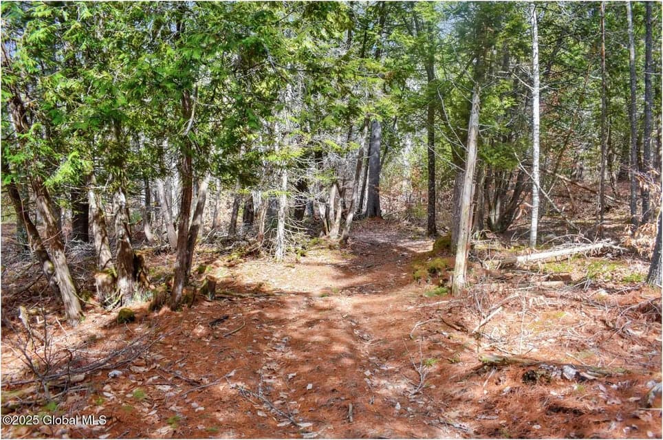 L11 Mountain Meadows Road, Horicon, NY, photo 4
