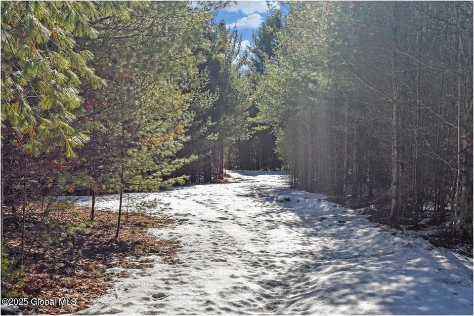 L11 Mountain Meadows Road, Horicon, NY, photo 5