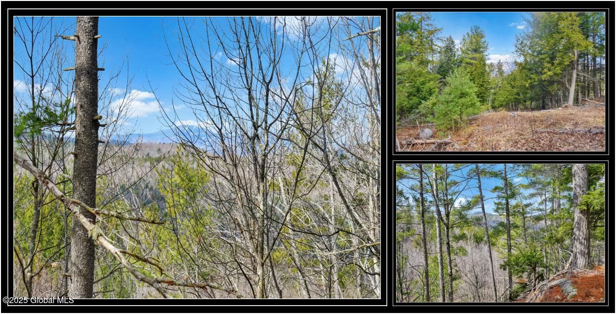 L18 Mountain Meadows Road, Horicon, NY, photo 1