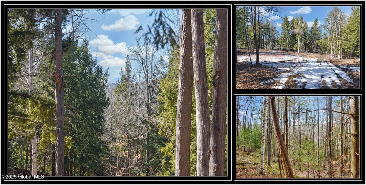 L15 Mountain Meadows Road, Horicon, NY, photo 1