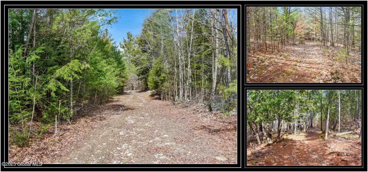 L11 Mountain Meadows Road, Horicon, NY, photo 1