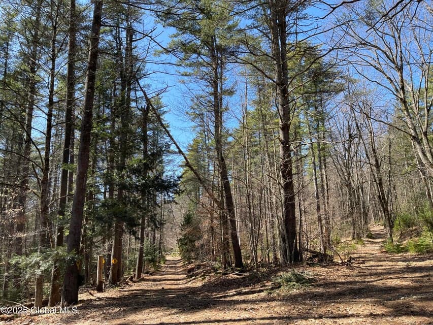 L14 L15 Butler Pond Road, photo 2