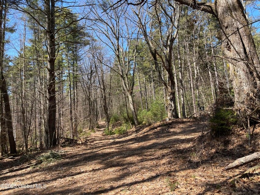 L14 L15 Butler Pond Road, photo 3