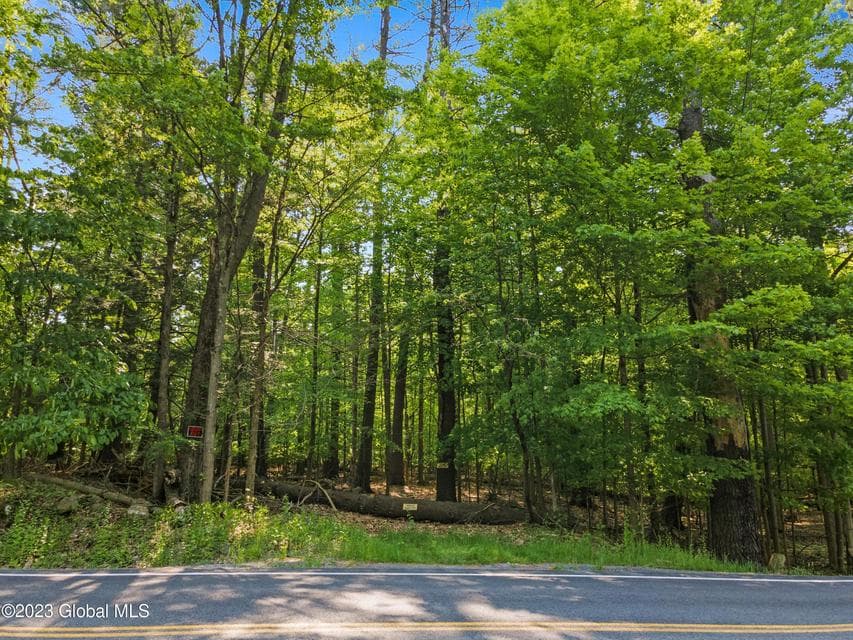 1732 Pilot Knob Road, photo 1
