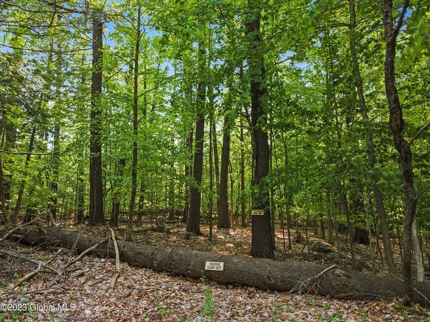1732 Pilot Knob Road, photo 2
