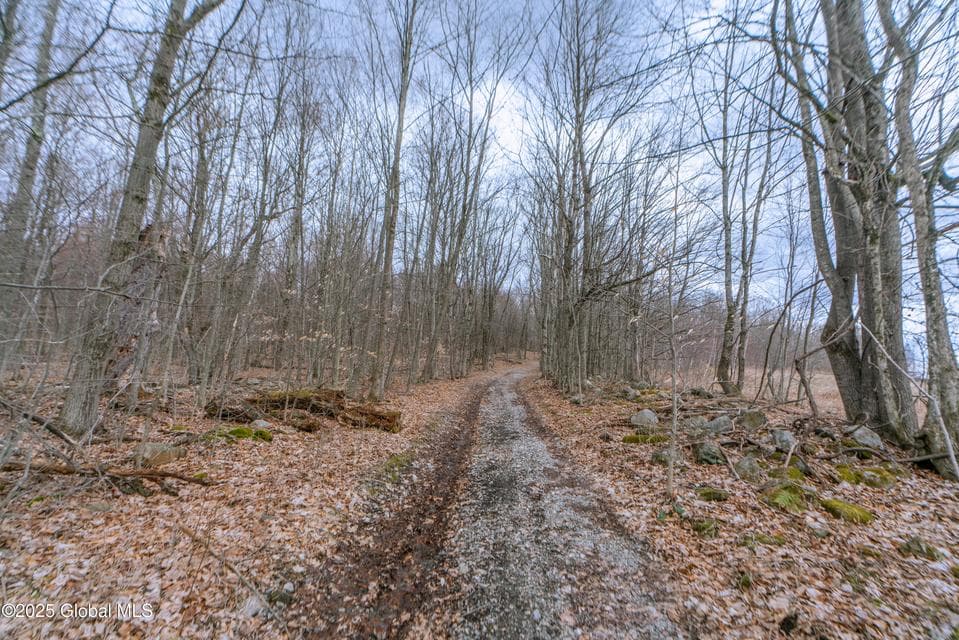 52 Oak hill Road, Granville, NY, photo 4