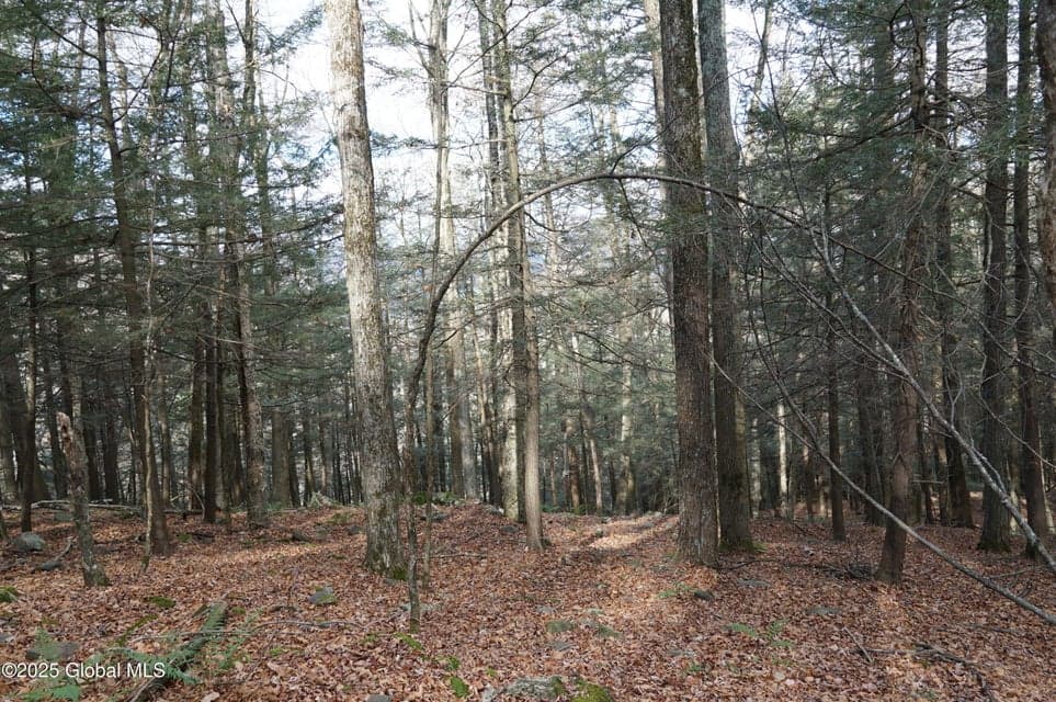 L15.2 Mount Eden Estates Road, Lexington, NY, photo 5