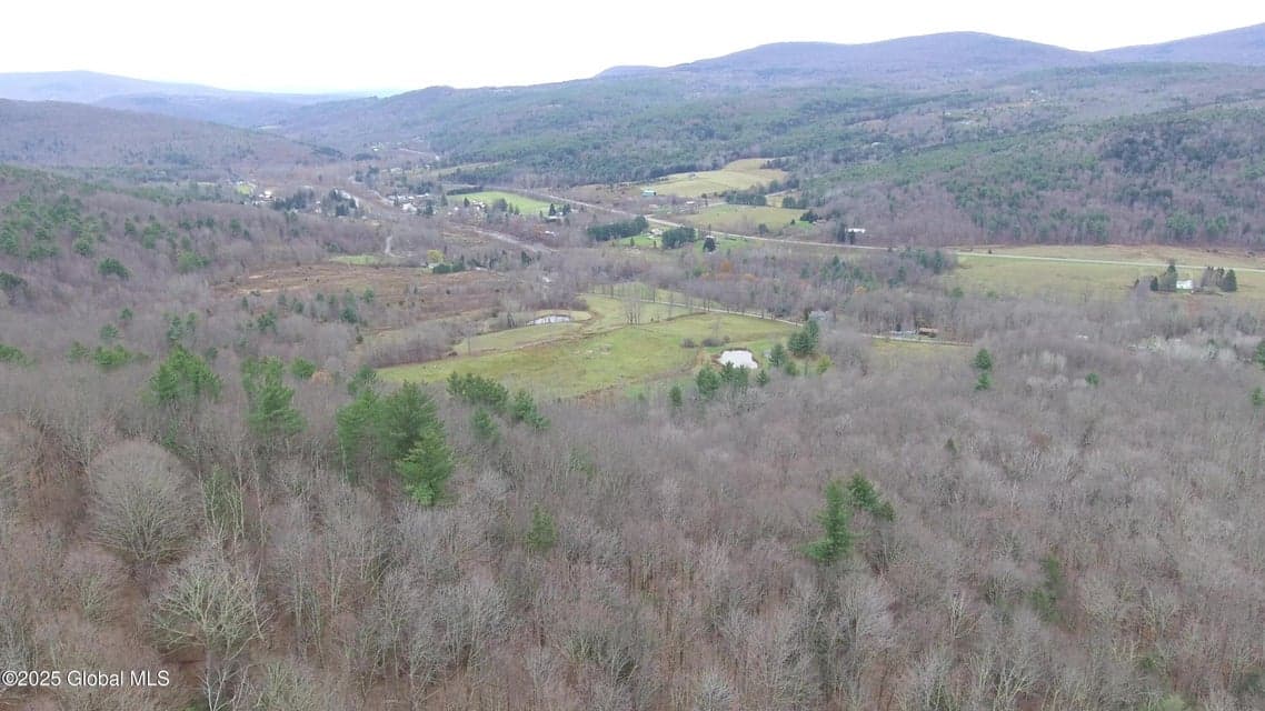 L15.2 Mount Eden Estates Road, Lexington, NY, photo 3