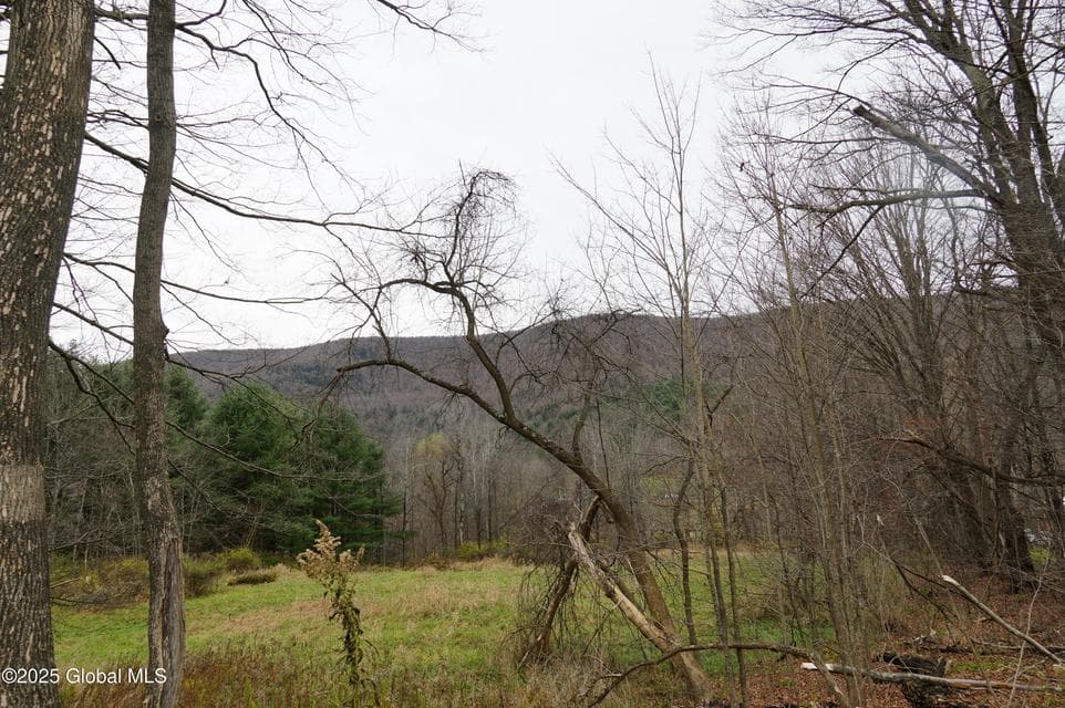 L15.2 Mount Eden Estates Road, Lexington, NY, photo 2