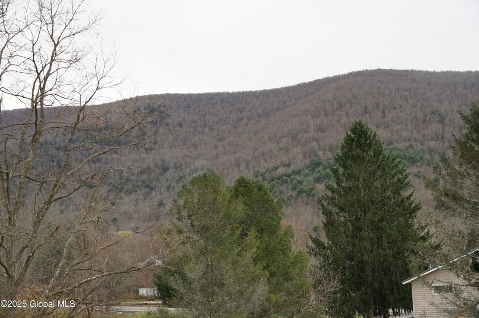 L15.2 Mount Eden Estates Road, Lexington, NY, photo 4